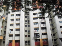 Blk 113 Hougang Avenue 1 (Hougang), HDB 3 Rooms #243222